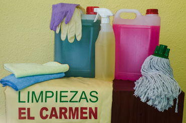 Nuestros servicios Limpiezas El Carmen