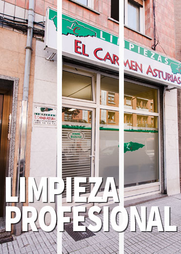 Limpiezas El Carmen